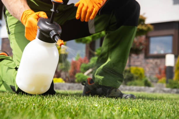 Best Pest Control Near Me  in Vista Center, NJ