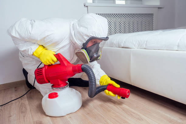 Best Affordable Pest Control Services  in Vista Center, NJ