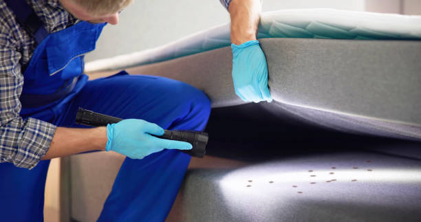 Best Best Pest Control Companies  in Vista Center, NJ
