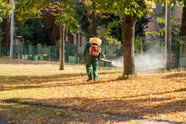 Best Bed Bug Extermination  in Vista Center, NJ