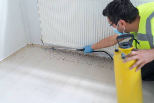 Best Residential Pest Control  in Vista Center, NJ